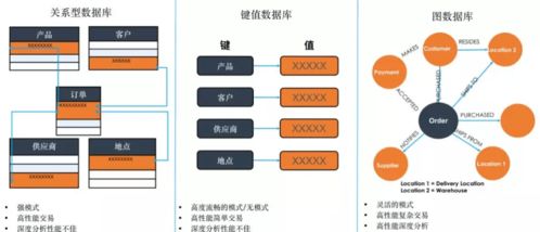 數字化轉型浪潮下，TigerGraph圖技術能否成為數字技術服務新寵兒？