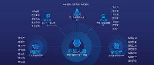 數(shù)據(jù)驅動未來 市場調查在產(chǎn)業(yè)發(fā)展與企業(yè)根基構建中的核心價值